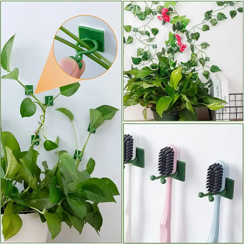 1/30/50 ชิ้นสําหรับอุปกรณ์สวนพ - Plant Support Stake บทวิจารณ์และราคา