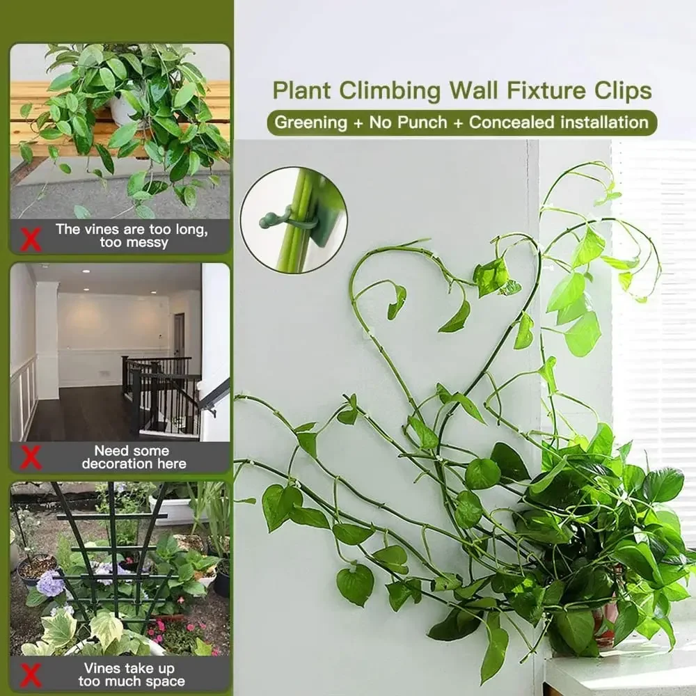 1/30/50 ชิ้นสําหรับอุปกรณ์สวนพ - Plant Support Stake บทวิจารณ์และราคา