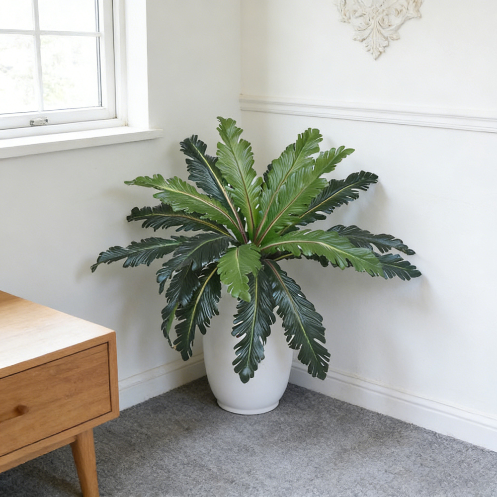 ใบเฟิร์นปลอมแบบทรอปิคอล ขนาด 4 - Snake Plant บทวิจารณ์และราคา