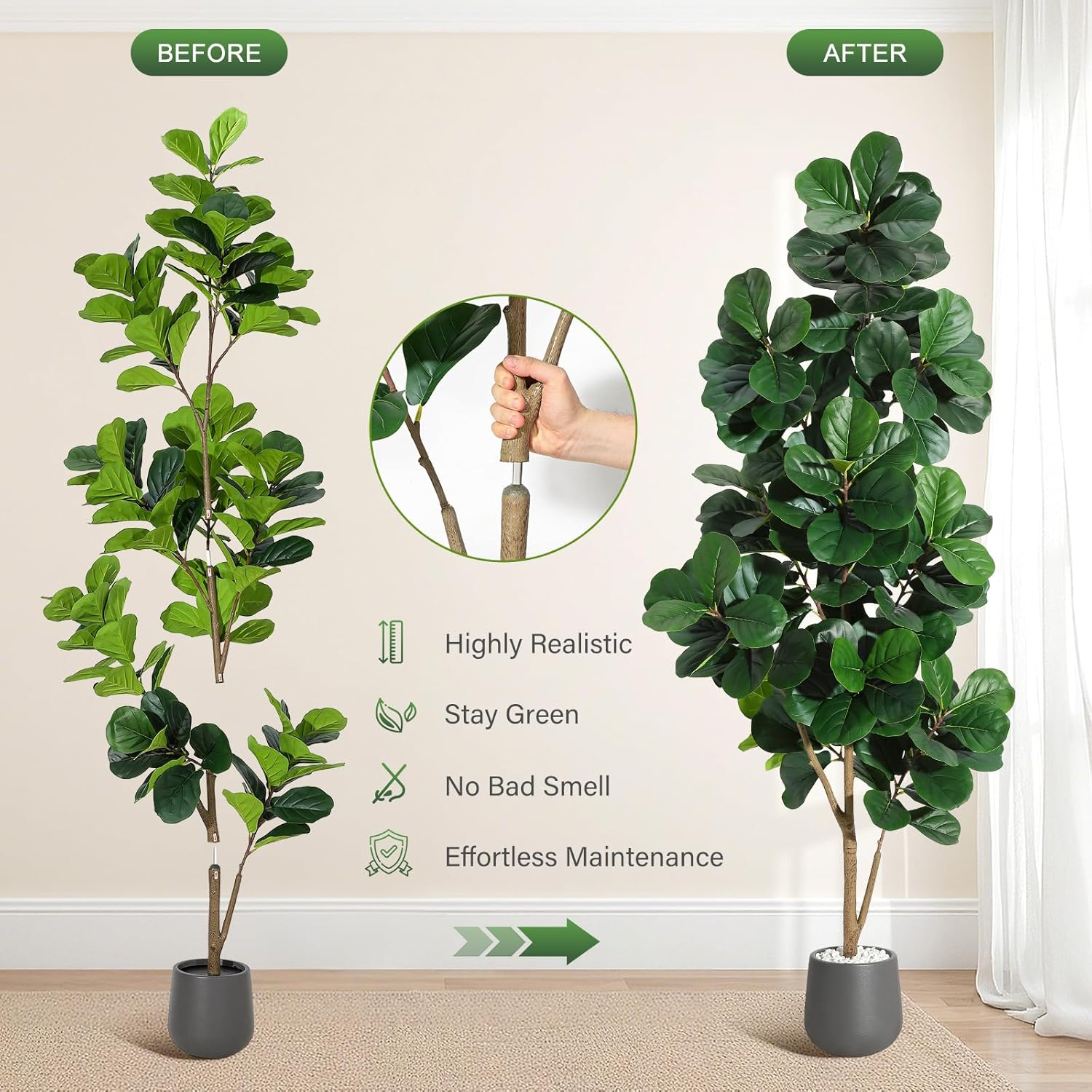 ต้นไทรใบกลองปลอมขนาด 4 ฟุต/5 ฟ - Fiddle Leaf Fig บทวิจารณ์และราคา