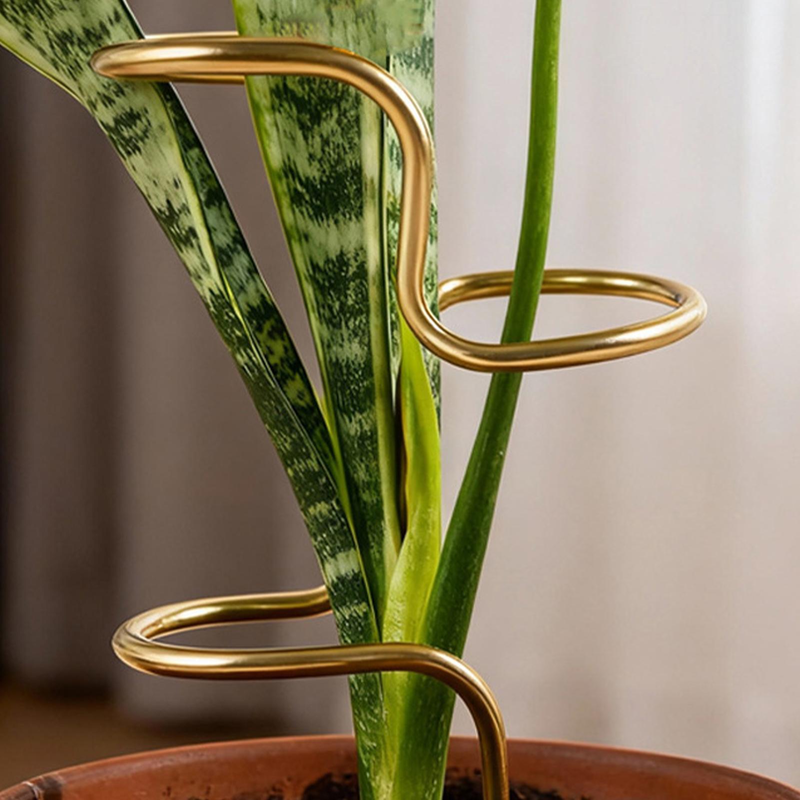 โครงยึดลำต้นพืชในสวน โครงเหล็ก - Plant Support Stake บทวิจารณ์และราคา