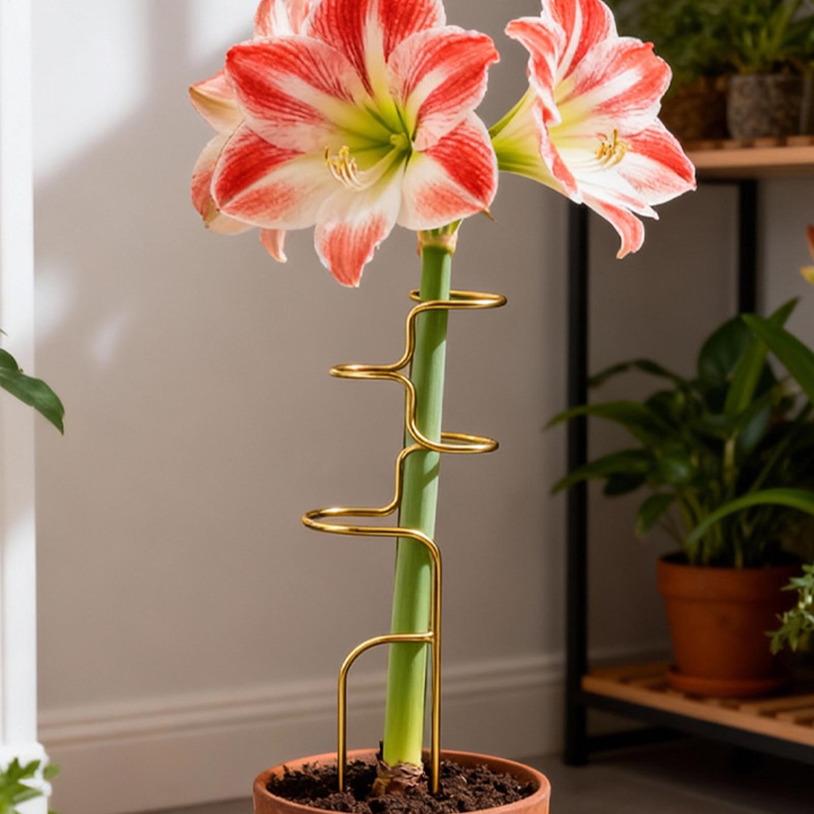 โครงยึดลำต้นพืชในสวน โครงเหล็ก - Plant Support Stake บทวิจารณ์และราคา