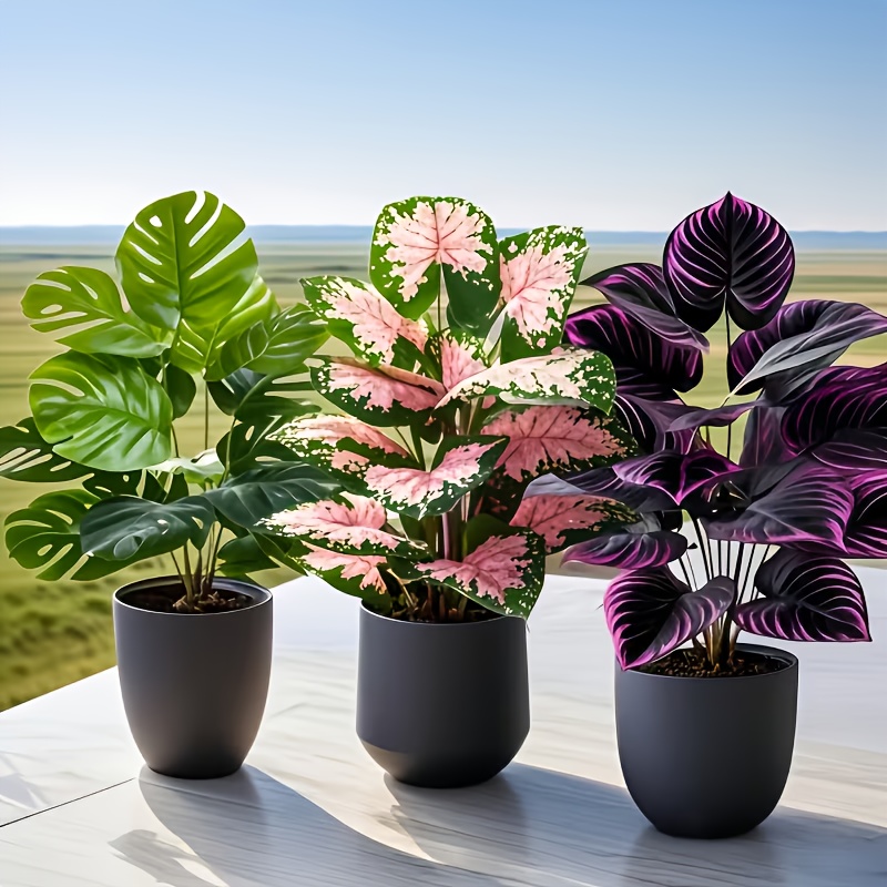 ชุดต้นไม้ประดิษฐ์ 3 ชิ้น รวมต้ - Fiddle Leaf Fig บทวิจารณ์และราคา