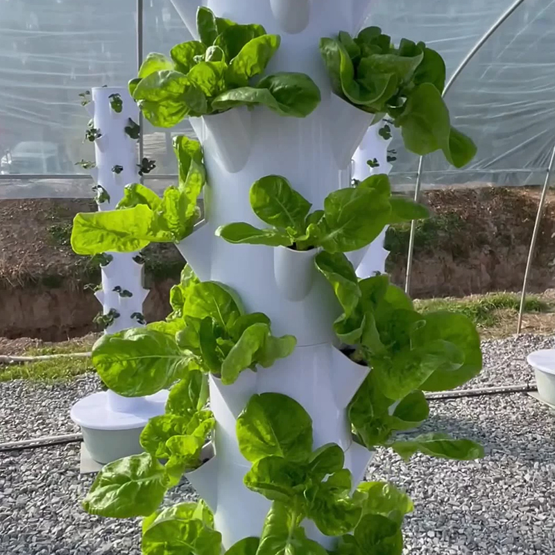 พร้อม LED Grow Light Space Tre - Plant Pot บทวิจารณ์และราคา