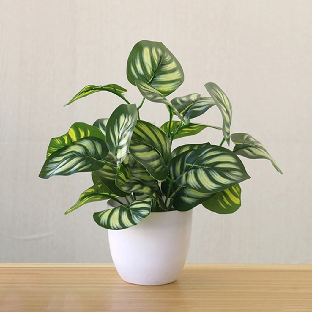 1PC ประดิษฐ์ใบพืชหม้อบอนไซปาร์ - Snake Plant บทวิจารณ์และราคา