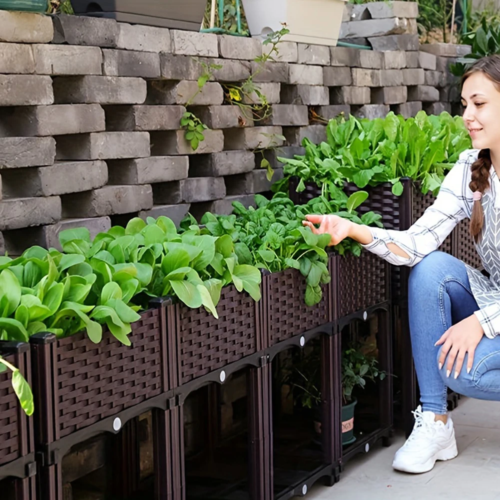ขนาดใหญ่ความจุเตียงสวนผักกล่อง - Pothos บทวิจารณ์และราคา