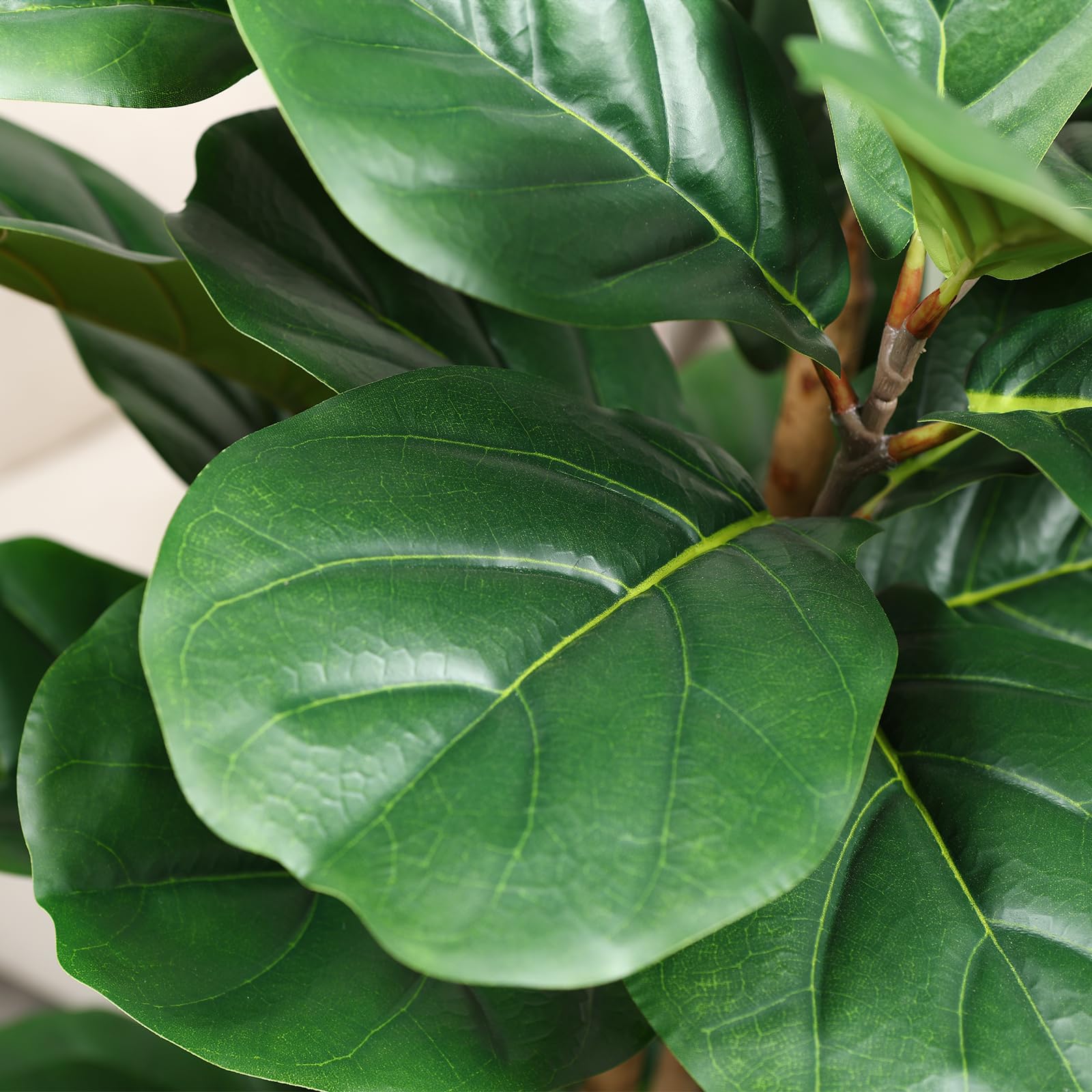 ต้นไม้ฟิกเลฟฟิลด์ประดิษฐ์ พร้อ - Fiddle Leaf Fig บทวิจารณ์และราคา