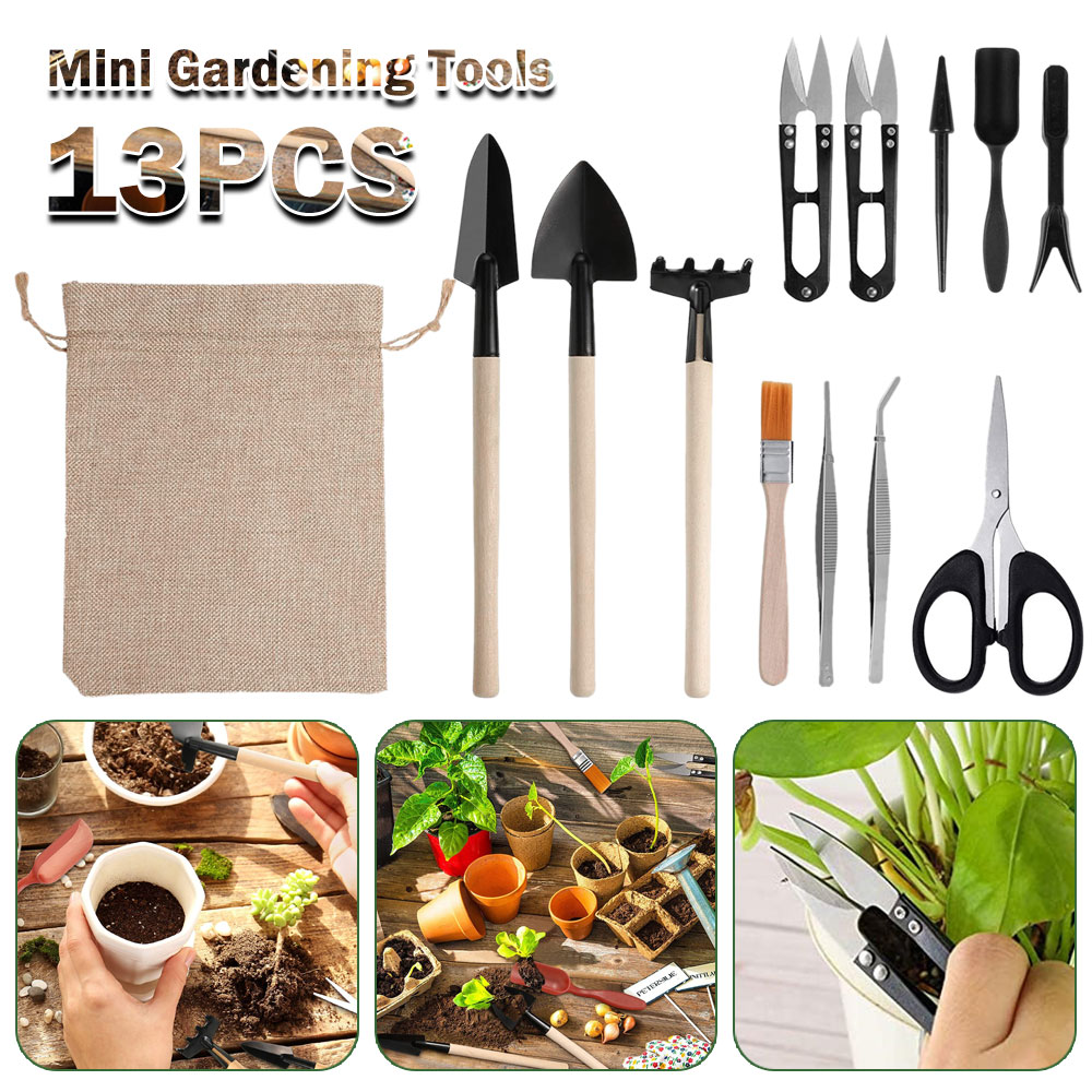 Succulentพืชเครื่องมือMini Gar - Succulent Set บทวิจารณ์และราคา