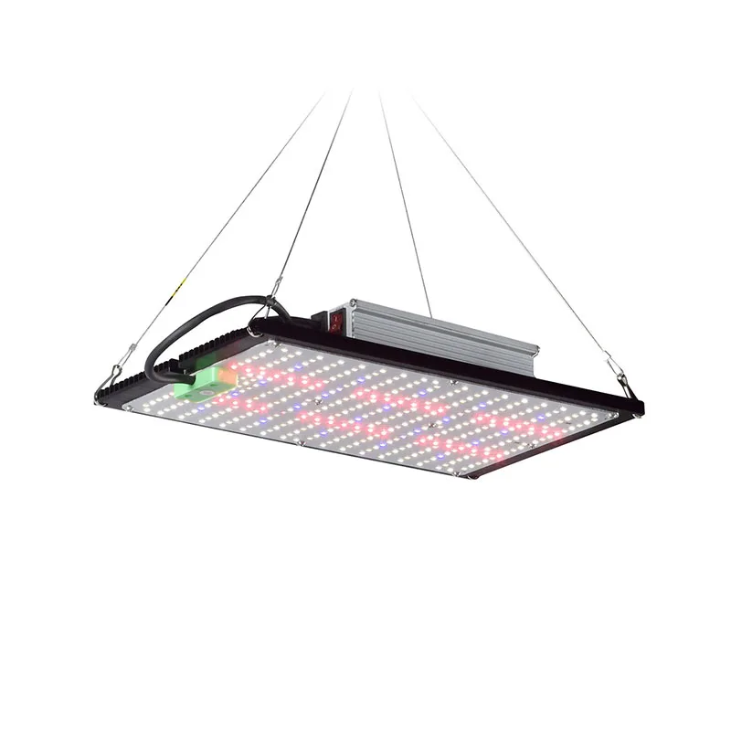 ไฟปลูกต้นไม้ LED แบบควอนตัมบอร - Indoor Plants บทวิจารณ์และราคา