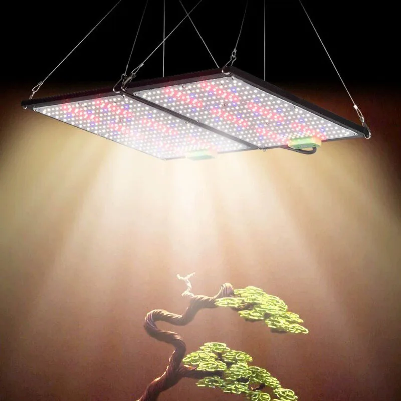 ไฟปลูกต้นไม้ LED แบบควอนตัมบอร - Indoor Plants บทวิจารณ์และราคา