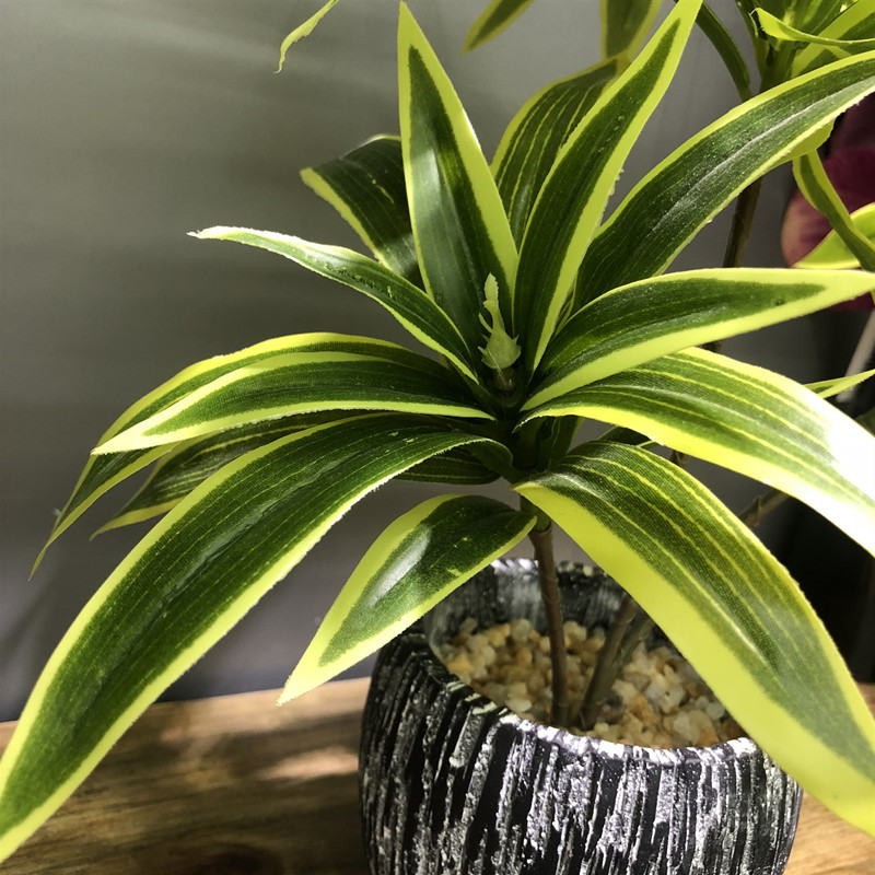 35ซม.3ส้อมประดิษฐ์เดสก์ท็อปปลอ - Snake Plant บทวิจารณ์และราคา