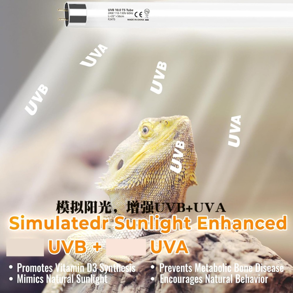 หลอดไฟ LED สำหรับตู้ปลูกพืชและ - Snake Plant บทวิจารณ์และราคา