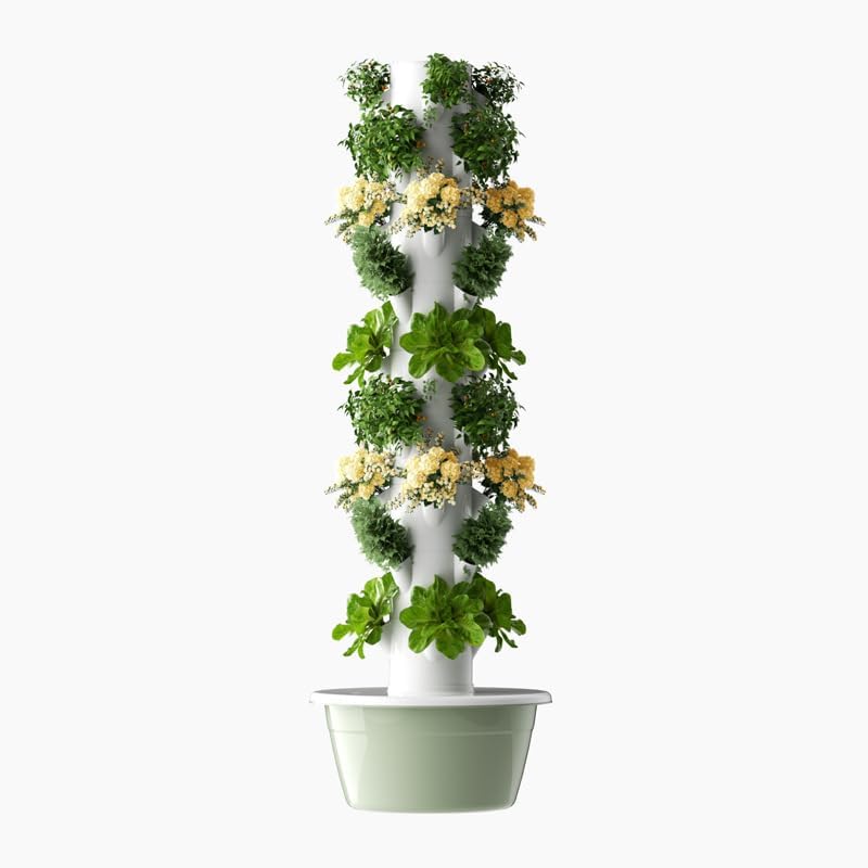 หอปลูกพืชไฮโดรโปนิกส์แนวตั้งแบ - Pothos บทวิจารณ์และราคา